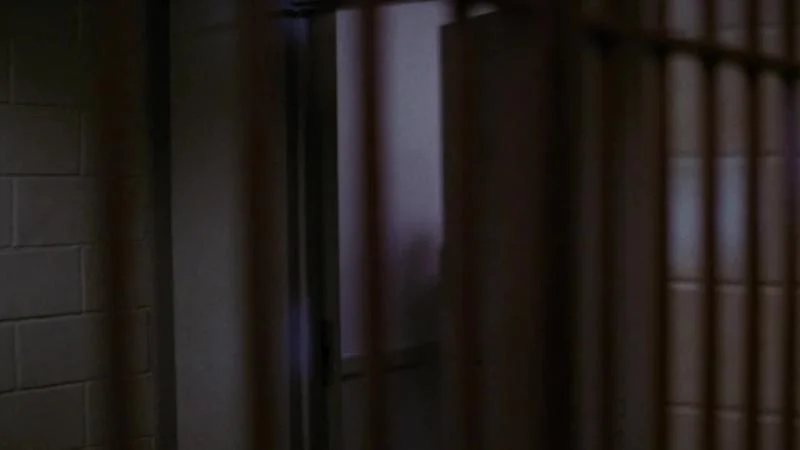 Кадры из сериала Твин Пикс (1990)